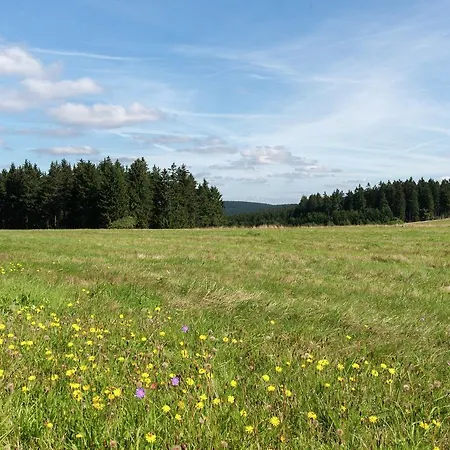 Ferienhaus Holiday Am Wald 2